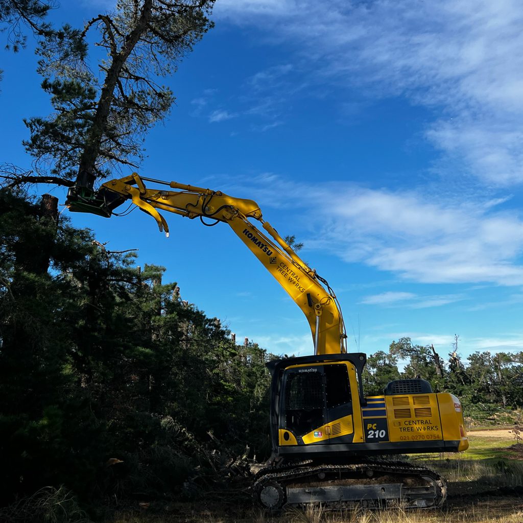 Tree trimming and Topping Queenstown